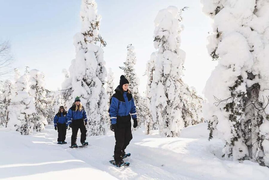 Snowshoeing in the Arctic Wilderness - Snowshoeing Around Frozen Rapids in Finnish Lapland