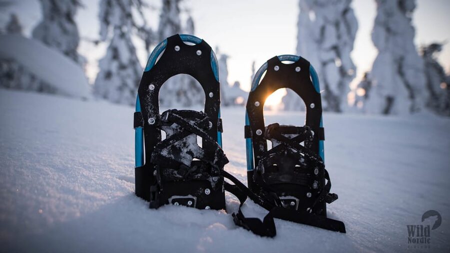 Snowshoeing in the Arctic Wilderness - Thermal Gear That Actually Matters in Arctic Cold