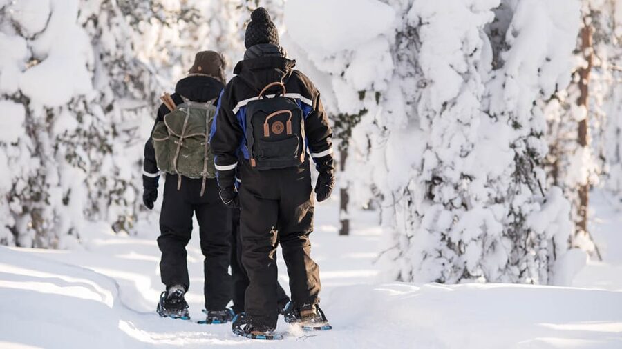 Snowshoeing in the Arctic Wilderness - Guides, Pacing, and Group Size (Max 8, English Speaking)