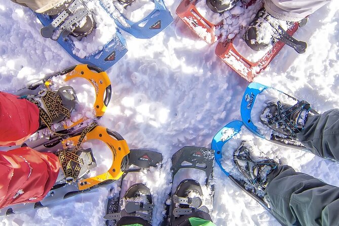 Snowshoeing tour with Wild Lunch - Key highlights to know before you go