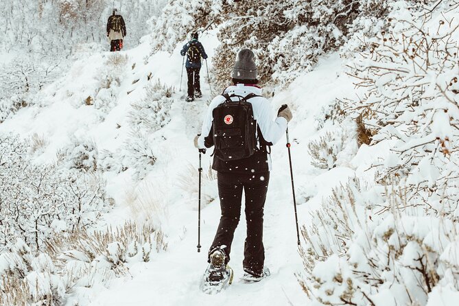 Snowshoeing tour with Wild Lunch - The Wild Lunch teepee: where the cold turns into comfort