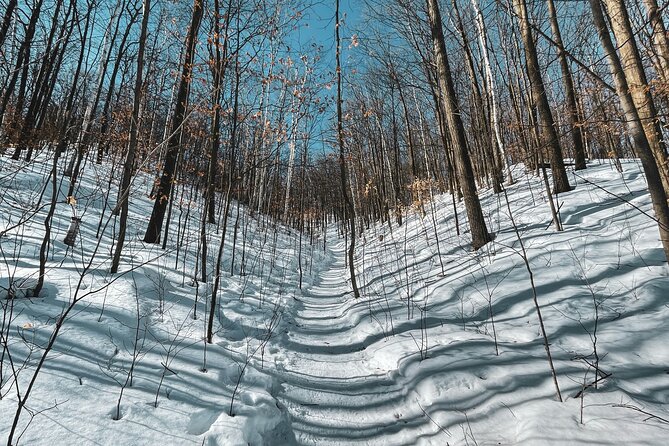 Snowshoeing tour with Wild Lunch - Included value versus what you must bring