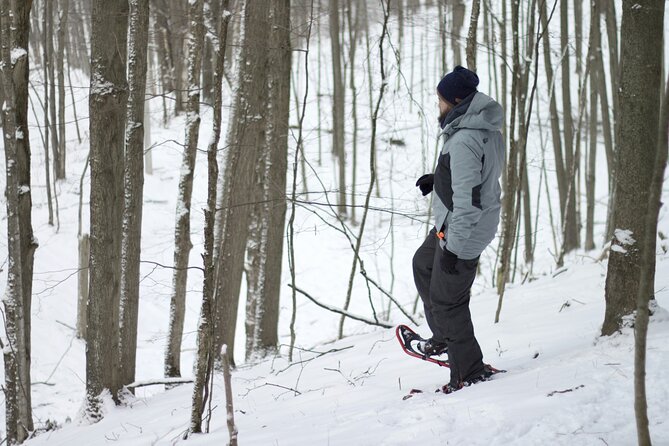 Snowshoeing tour with Wild Lunch - Should you book this Wild Lunch snowshoe tour in Rovaniemi?