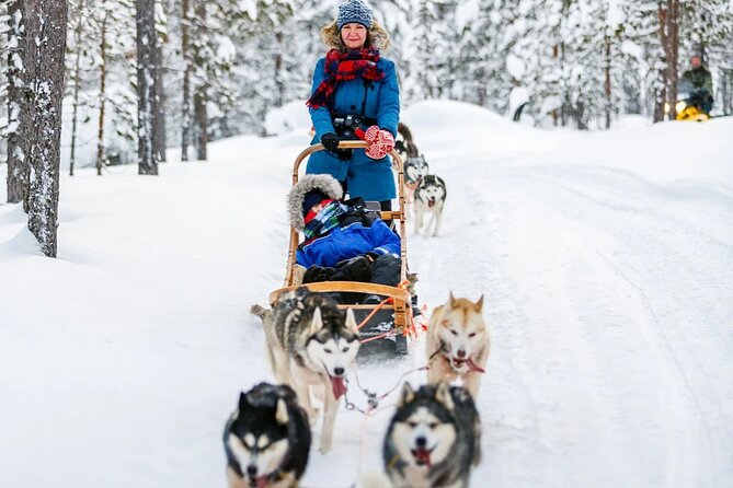 Snowy Trails 10km Husky Safari from Rovaniemi - Group size and the “sausage factory” concern, handled the honest way
