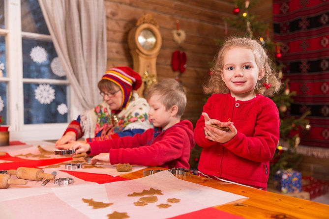The Hidden Place of Santa - Reindeer sleigh ride and a reindeer driving license moment
