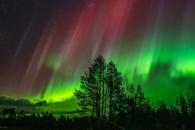 The Ultimate Guaranteed Aurora Hunt - The hunting team: how pro aurora hunters and a photographer change your night