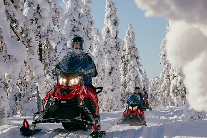 Thrill of Snowmobiling for Adults Only - Pickup and Meeting Point: Plan Your Timing Like a Local
