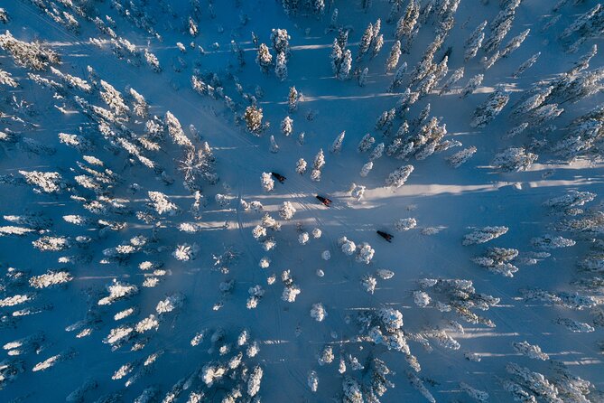 Thrill of Snowmobiling for Adults Only - Your Training Moment: Quick Instructions Before You Drive