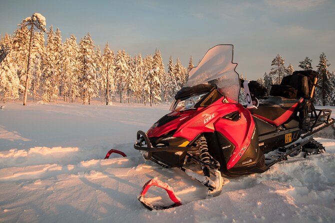 Thrill of Snowmobiling for Adults Only - The 2.5-Hour Drive: Lapland Countryside Without the Slow Parts