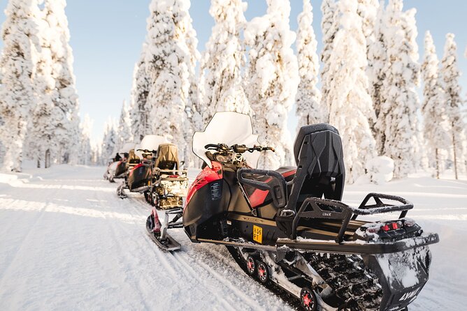 Thrill of Snowmobiling for Adults Only - English Briefing and Small Group Energy
