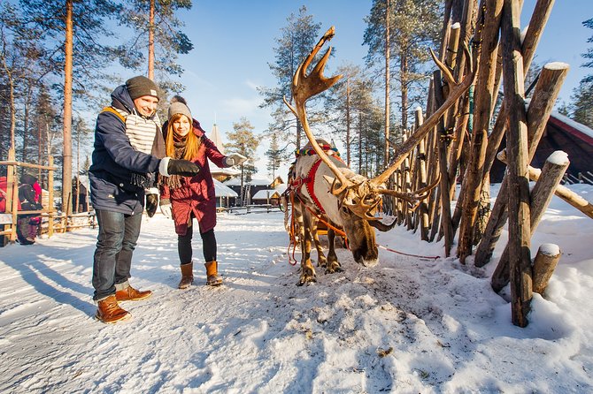 Trip to Arctic Circle, Santa Claus Village and Santas Reindeer - Guides, group size, and how the day feels in English