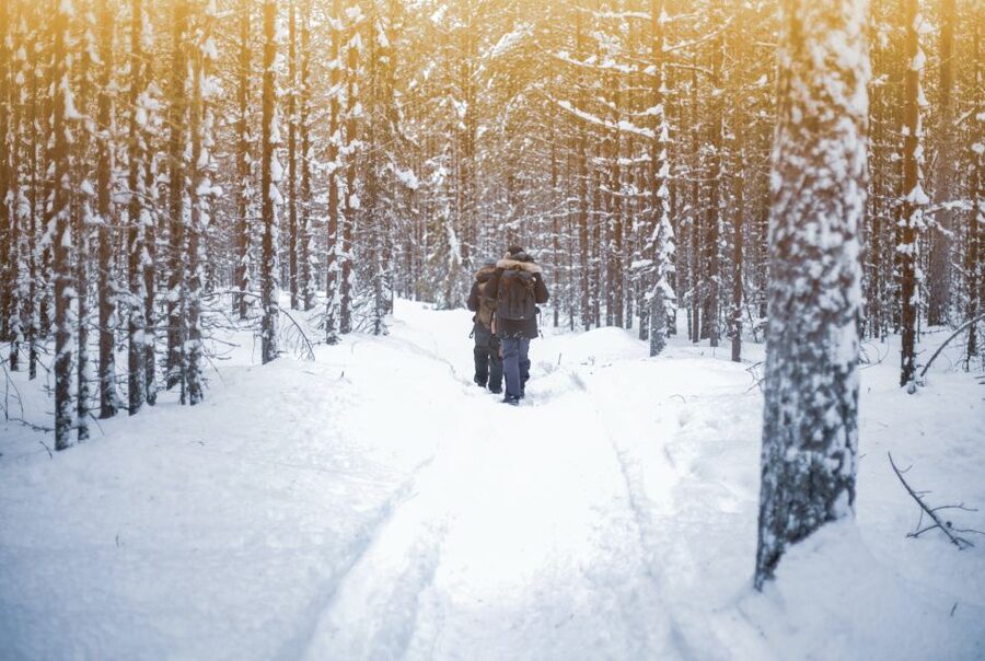 Vikakongas Hike: Nature and Silence - Why the Vikaköngäs Rapids Trail Feels Different Than Other Winter Walks