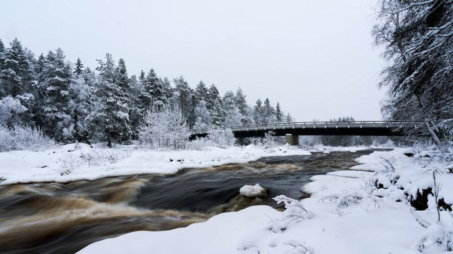 Vikakongas Hike: Nature and Silence - Hotel Pickup in Rovaniemi, and How to Make It Go Smoothly