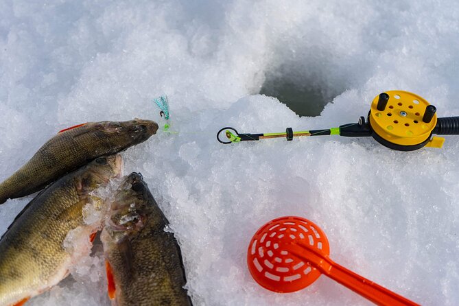 VIP Ice Fishing "ICEBREAKER" Lunch in Glass Igloo - Glass igloo lunch by the fire: the part people remember