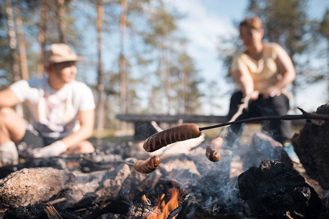 Wild Berries and Mushroom picking tour - Key Highlights You’ll Care About