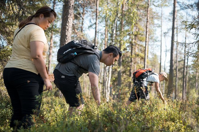 Wild Berries and Mushroom picking tour - The Open-Fire Break: Coffee, Juice, and Local Snacks