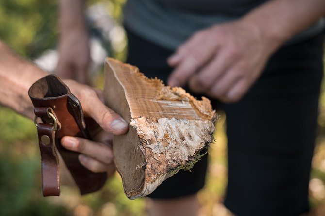 Wild Berries and Mushroom picking tour - What to Do With Your Basket After the Walk