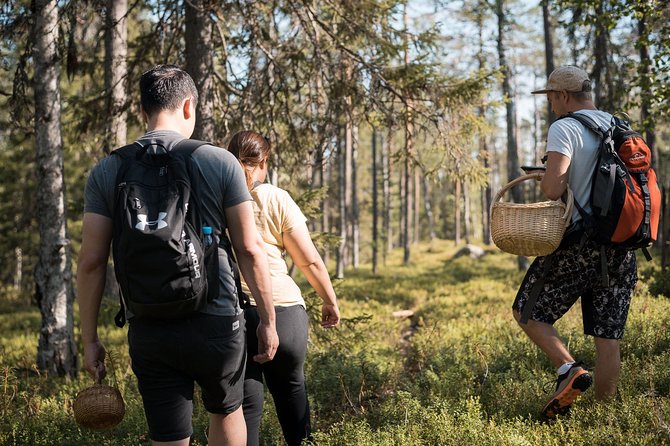 Wild Berries and Mushroom picking tour - Secret Picking Spots, Not Endless Wandering