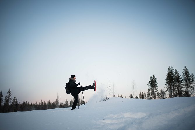 Wilderness snowshoe adventure - Wildlife chances and what to do when you see something
