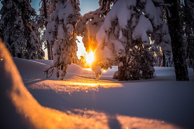 Wilderness snowshoe adventure - Value for $126.16 in Rovaniemi, and who this tour fits