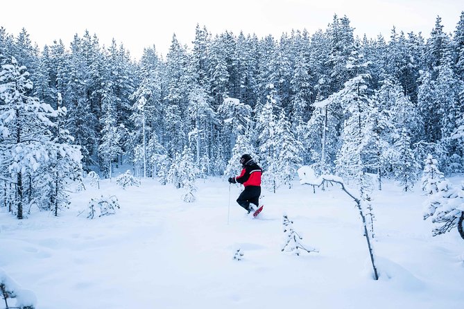 Wilderness snowshoe adventure - Booking smart: small timing choices that make a difference