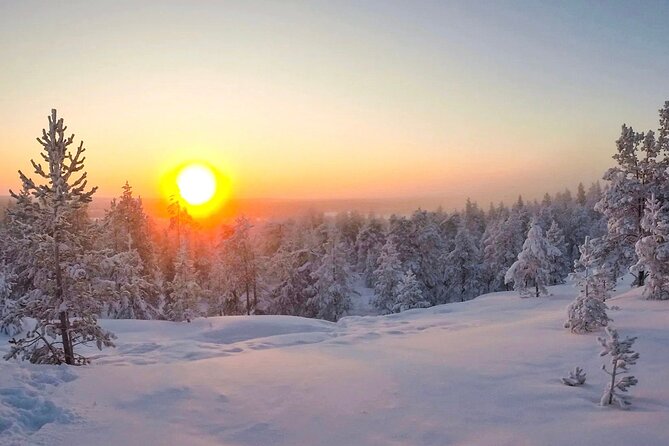 Wilderness Survival Tour - Winter - Who should book this winter survival tour, and who should not