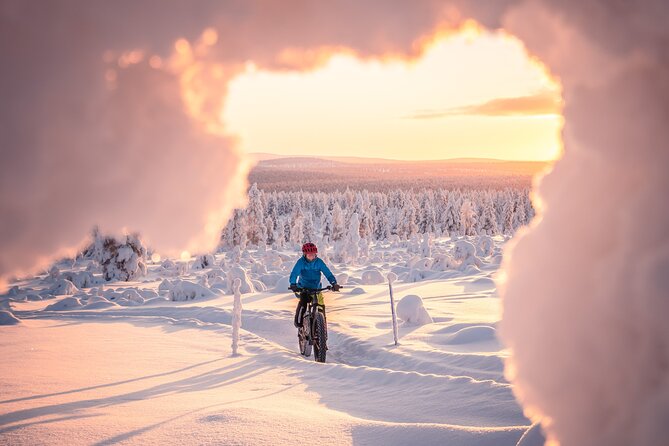 Winter afternoon group Ride in Saariselkä - Price and Time: What You’re Paying For