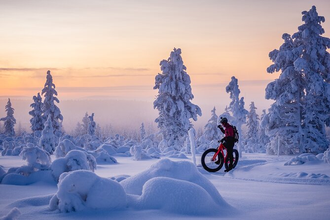Winter afternoon group Ride in Saariselkä - Stop 1: Roll Outdoors, Where You Get Your Bearings