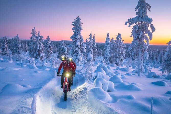 Winter afternoon group Ride in Saariselkä - The Ride to Urho Kekkonen National Park Gates