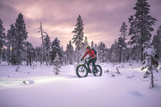 Winter afternoon group Ride in Saariselkä - Stop 4: Back at the Shop, Then Your Post-Ride Plan