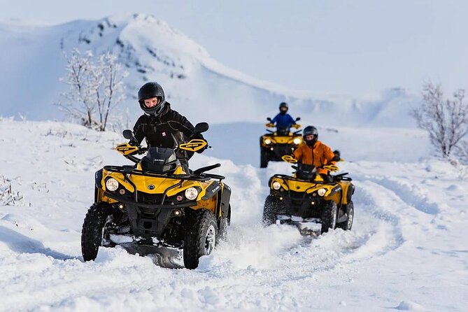 Winter Quad Bike Ride in the Arctic Circle from Rovaniemi - Warm-Up Breaks: Hot Blueberry Juice, Gingerbread, and Local Culture Talk