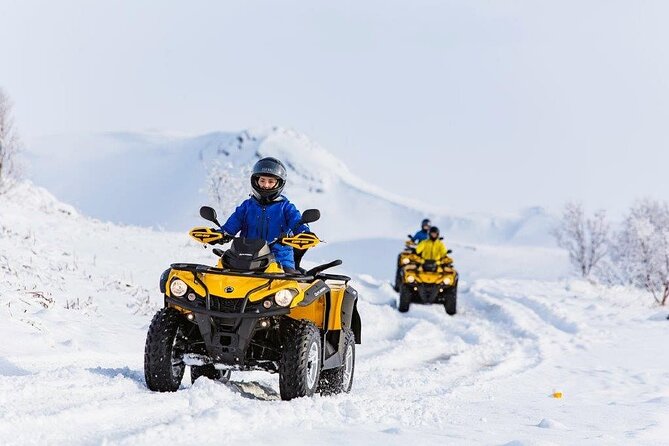 Winter Quad Bike Ride in the Arctic Circle from Rovaniemi - The Ride Into Lapland Forests, Scenic Stops, and Wildlife Spotting Chances