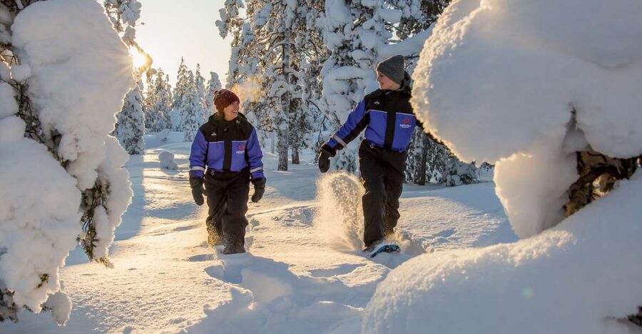 Ylläs: Forest Hike with Snowshoes - Key Points to Know Before You Go