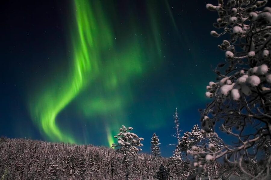 Ylläs: Seeking Northern Lights Photo Tour - Ylläs Northern Lights photo safari, in plain terms